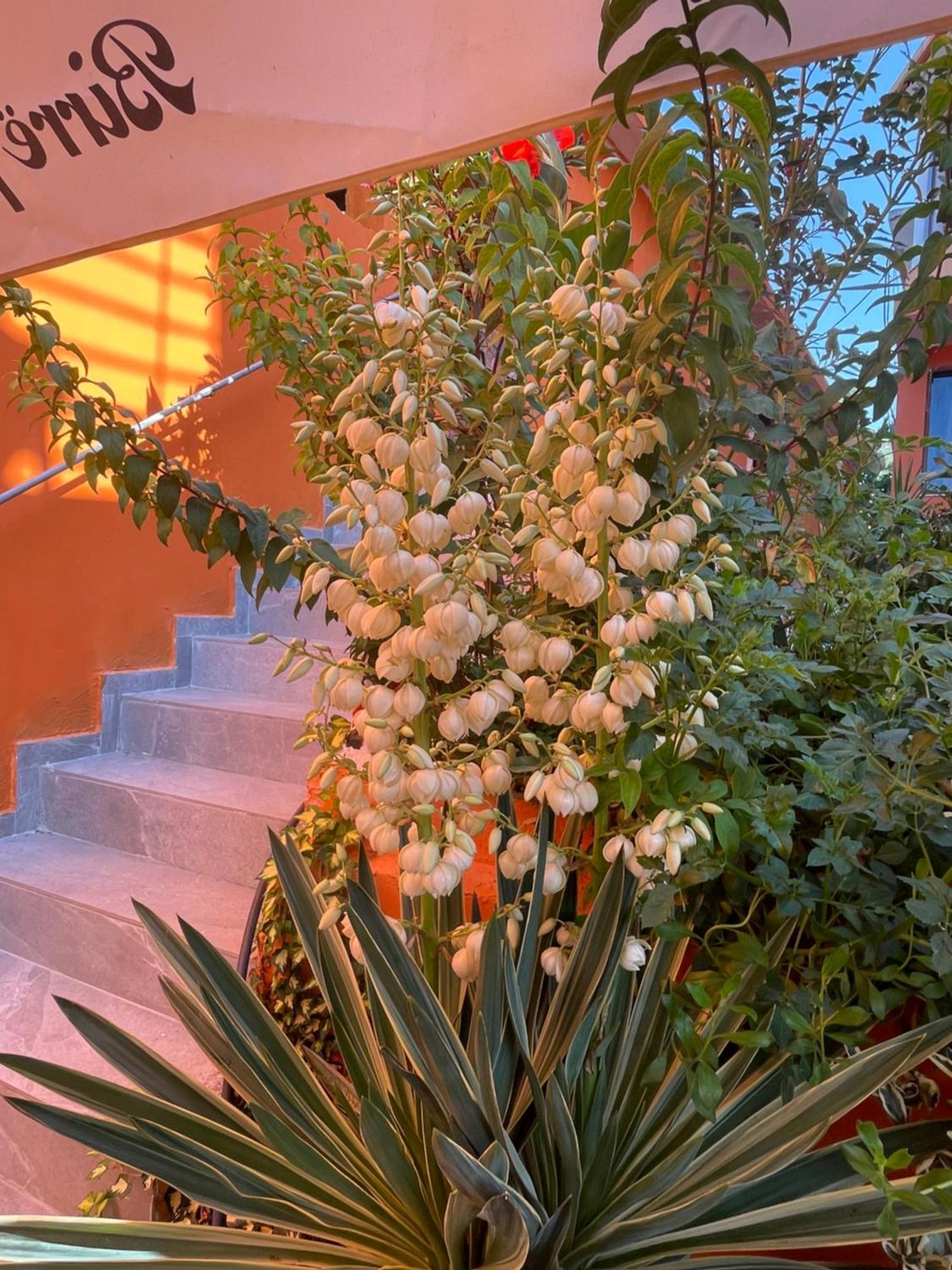 Hotel Bar Restaurant Mete Peshkepi Dış mekan fotoğraf